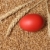 Paşti · roşu · Easter · Egg · grâu · alimente - imagine de stoc © simazoran