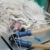 Veterinary stock photo © simazoran