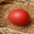 Wielkanoc · czerwony · easter · egg · pszenicy · gniazdo - zdjęcia stock © simazoran