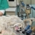 Veterinary stock photo © simazoran