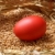Wielkanoc · czerwony · easter · egg · pszenicy · gniazdo - zdjęcia stock © simazoran