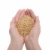 Wheat concept stock photo © simazoran