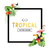 trópusi · keret · terv · színes · vibráló · virágok - stock fotó © solarseven