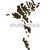 Textured map of Faroe Islands stock photo © speedfighter