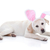 húsvéti · nyuszi · labrador · kutyakölyök · kutya · nyuszi · fülek - stock fotó © Stephanie_Zieber