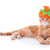 dankzegging · kat · halloween · pompoen · kitten - stockfoto © Stephanie_Zieber