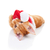 聖誕節 · 貓 · 小貓 · 聖誕老人 · 帽子 - 商業照片 © Stephanie_Zieber