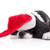 狗 · 聖誕節 · 夢 · 聖誕老人 · 帽子 · 背景 - 商業照片 © Stephanie_Zieber