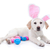 húsvéti · nyuszi · labrador · kutyakölyök · kutya · húsvéti · tojások · húsvét - stock fotó © Stephanie_Zieber
