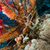 tropical · mar · vermelho · peixe · paisagem · mar · fundo - foto stock © stephankerkhofs
