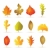 different kinds of tree autumn leaf icons  stock photo © stoyanh
