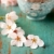 цветок · таблице · Вишневое · блюдо · Blossom - Сток-фото © susabell