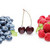 blueberry, cherry and raspberry berries isolated on white background stock photo © svetography
