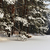  winter landscape stock photo © taden