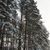  winter landscape stock photo © taden