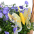  campanula bellflowers stock photo © taden