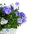  campanula flowers stock photo © taden