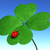 Ladybug on a four-leaves clover stock photo © TaiChesco