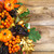 Fall arrangement with pumpkins and berries stock photo © TasiPas