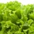 zielone · sałata · Sałatka · żywności · liści · rolnictwa - zdjęcia stock © TheProphet