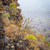 Moremi Gorge Botswana  stock photo © THP