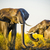 大象 · 播放 · 泥 · 年輕 · 老 - 商業照片 © THP