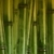 wide hard bamboo background stock photo © tiero