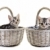 Adorable little kittens on white background stock photo © tish1