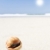 gyönyörű · alakú · tenger · kagyló · homokos · tengerpart · tengerpart - stock fotó © tish1