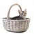 Adorable little kitten on white background stock photo © tish1