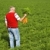 морковь · фермер · области · фермы · трава · здоровья - Сток-фото © tish1