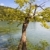 schoon · water · unesco · park · Kroatië · water · boom - stockfoto © tomasz_parys