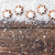 Christmas decoration on wooden background with copy space stock photo © tommyandone
