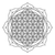 Vektor · Mandala · heilig · Geometrie · Illustration · Kontur - stock foto © TRIKONA