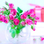 flowers stock photo © tycoon