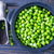 green pea stock photo © tycoon