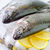 raw fish stock photo © tycoon