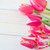 Tulips stock photo © tycoon