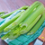 Sellerie · Hintergrund · Gemüse · frischen · Ernährung · Makro - stock foto © tycoon