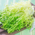 fresh salad stock photo © tycoon