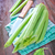 céleri · fond · légumes · fraîches · régime · alimentaire · macro - photo stock © tycoon