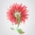 Blume · farbenreich · Natur · Sommer · rot · Karte - stock foto © ussr