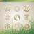 小麦 · ライ麦 · ベクトル · ロゴ · テンプレート · セット - ストックフォト © ussr