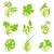 листьев · вектора · логотип · шаблон · набор · Элементы - Сток-фото © ussr