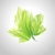 glänzend · grünen · gestreift · Ahornblatt · Frühling · abstrakten - stock foto © ussr