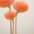 flores · resumen · naranja · signo · color · idea - foto stock © ussr