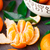 legno · dolce · frutta · tavola · tropicali - foto d'archivio © vankad