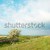 Green landscape with clouds. stock photo © vapi