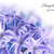青 · 美しい · 花 · 孤立した · 白 · 春 - ストックフォト © vapi