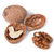 Walnuts closeup stock photo © vapi